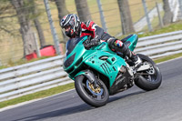 brands-hatch-photographs;brands-no-limits-trackday;cadwell-trackday-photographs;enduro-digital-images;event-digital-images;eventdigitalimages;no-limits-trackdays;peter-wileman-photography;racing-digital-images;trackday-digital-images;trackday-photos